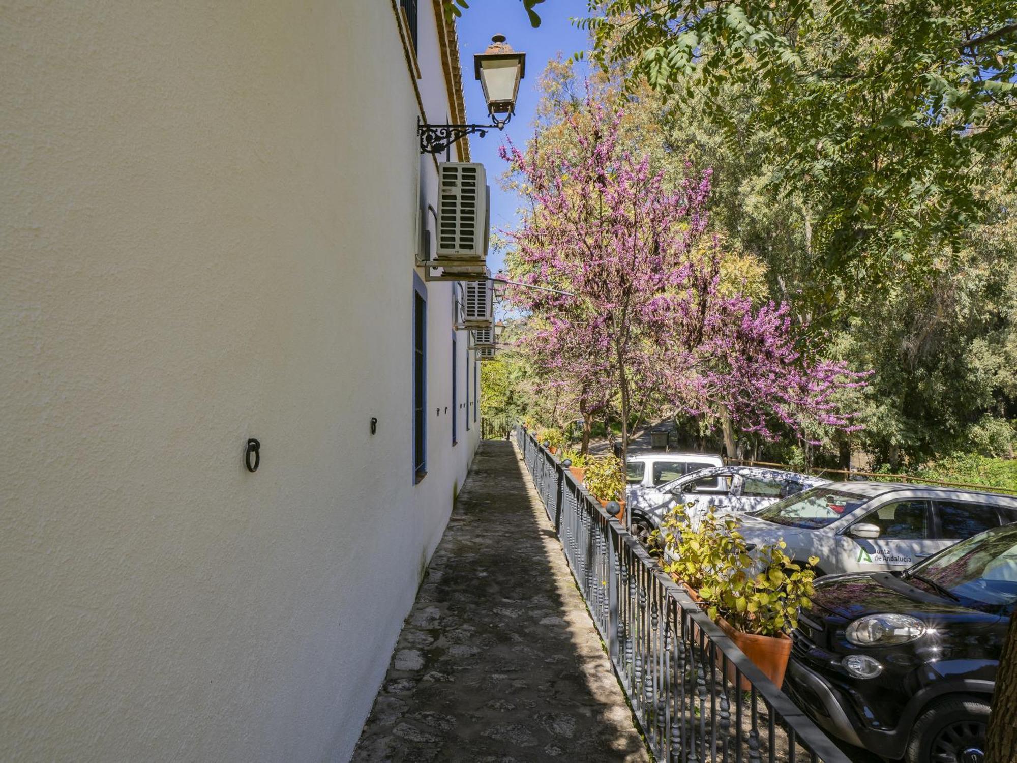 Cubo'S Hotel Cortijo San Antonio Casarabonela Bagian luar foto